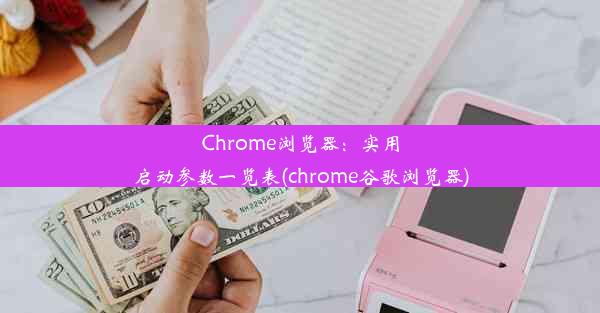 Chrome浏览器：实用启动参数一览表(chrome谷歌浏览器)