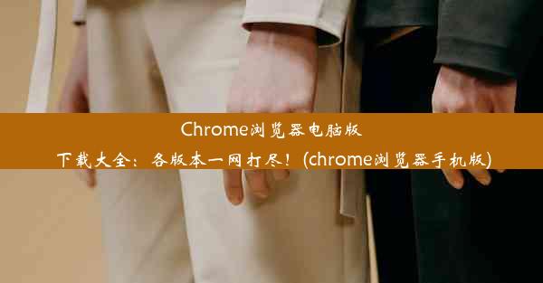 Chrome浏览器电脑版下载大全：各版本一网打尽！(chrome浏览器手机版)