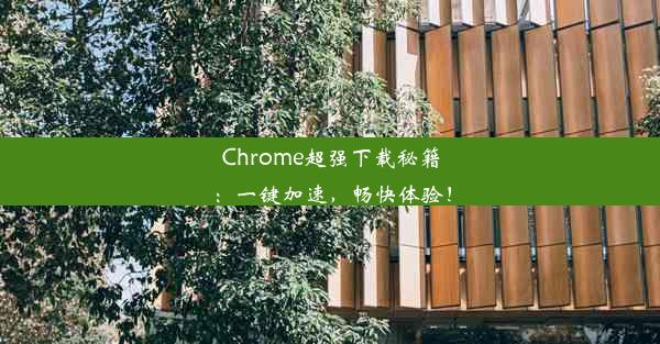 Chrome超强下载秘籍：一键加速，畅快体验！