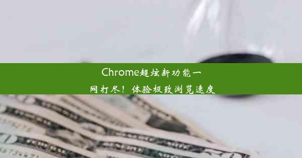 Chrome超炫新功能一网打尽！体验极致浏览速度