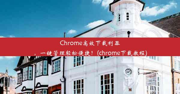 Chrome高效下载利器，一键管理轻松便捷！(chrome下载教程)