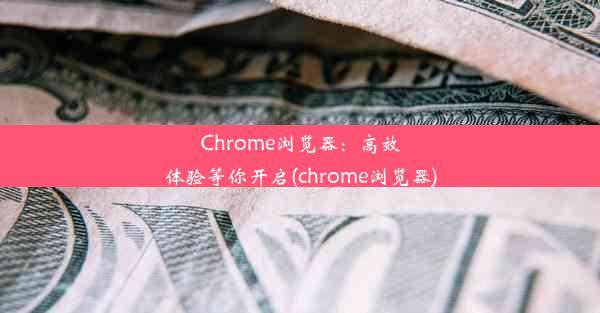 Chrome浏览器：高效体验等你开启(chrome浏览器)