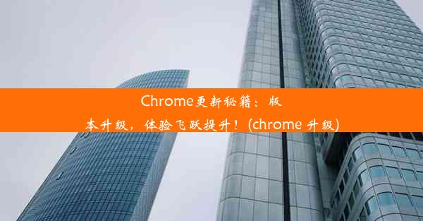 Chrome更新秘籍：版本升级，体验飞跃提升！(chrome 升级)